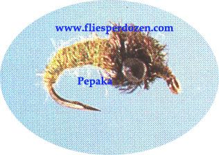 Sri Caddis Larva - main image