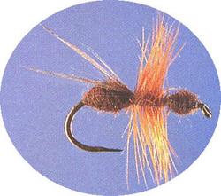 Previous product: Brown Flying Ant
