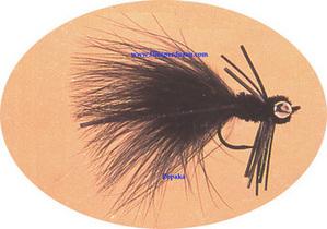 Black Buster - main image