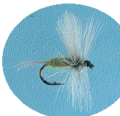 Blue Wing Olive - main image
