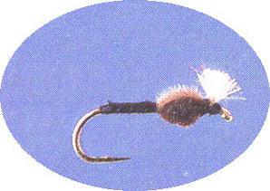 CDC Midge Pupa - main image