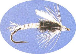 Crippled Midge - main image