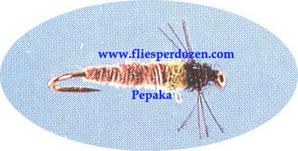 Drifting Cased Caddis - main image