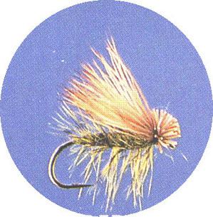Elk Hair Caddis Olive - main image