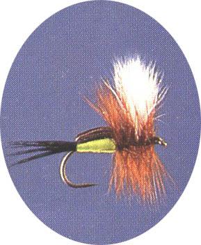 Green Humpy - main image