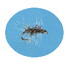 Griffith Gnat Nymph - main image