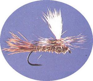 Hares Ear Parachute - main image