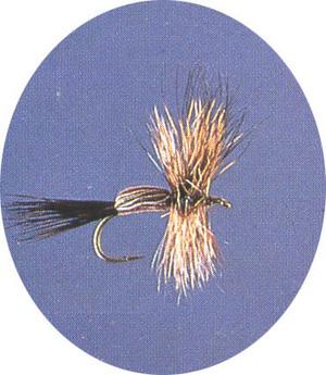 Humpy Adams - main image