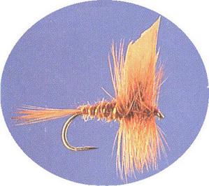 March Brown - main image