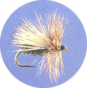 Peacock Caddis - main image