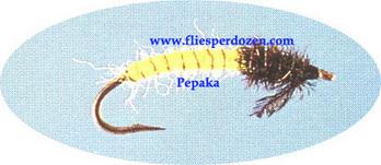 Peacock Larva - main image