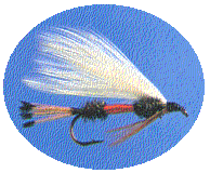 Royal Coachman 2 - main image