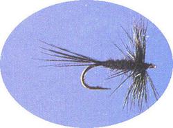 Previous product: Black Midge