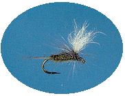 Blue Wing Olive Parachute
