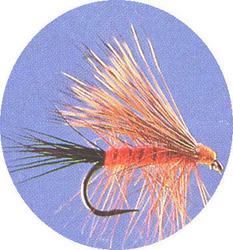 Next product: Bucktail Caddis Orange