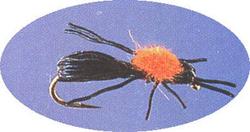 Previous product: Carpenter Ant