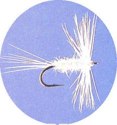 Previous product: Cream Midge