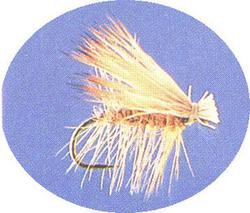 Elk Hair Caddis