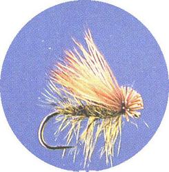 Next product: Elk Hair Caddis Olive