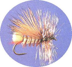 Previous product: Elk Hopper