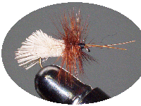 Goddard Caddis