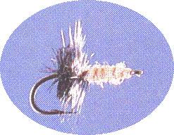 Previous product: Midge Pupa