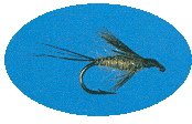 Olive Emerger