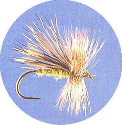 PM Caddis