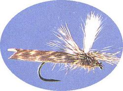 Previous product: Parachute Caddis