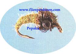 Sri Caddis Larva