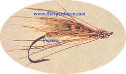 Thompson River Caddis